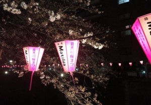 写真 2016-03-29 23 12 18