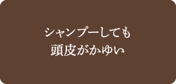 シャンプーしても頭皮がかゆい